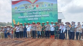 Tanam Jagung Serentak di Desa Sukasirna Sukabumi, Kapolres Sukabumi: “Bangun Habit Baru Masyarakat dan Petani”