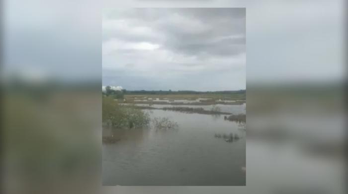 Saling Klaim Tanah Labbai di Lantebung Makassar, PT Bumi Karsa-Kalla Grup Bersengketa dengan Penjaga Empang