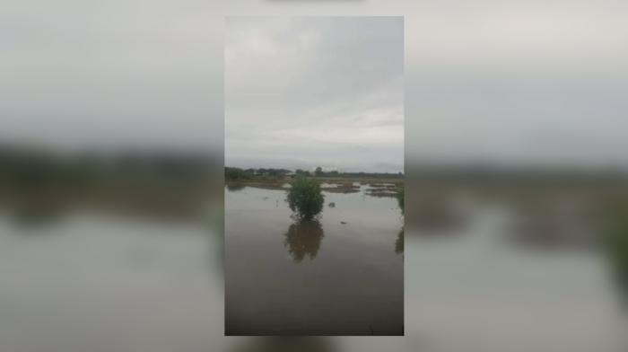 Di Tanah Lantebung Makassar: SHM Labbai Tidak Ditemukan, tapi Bisa Ditumpangi SHGB PT Bumi Karsa-Kalla Grup