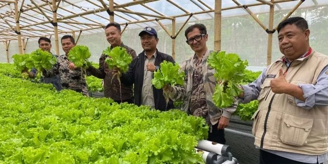 Optimalkan Dana Desa, BUMdes Jayamekar Desa Tenjojaya Sukabumi Launching Budidaya Talas Pratama