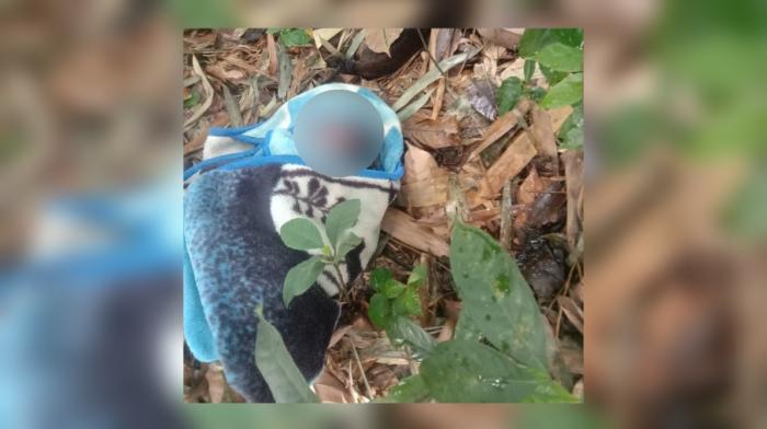 Diduga Dibuang, Bayi Lelaki Masih Hidup Ditemukan dalam Kebun Bambu di Parungkuda Sukabumi